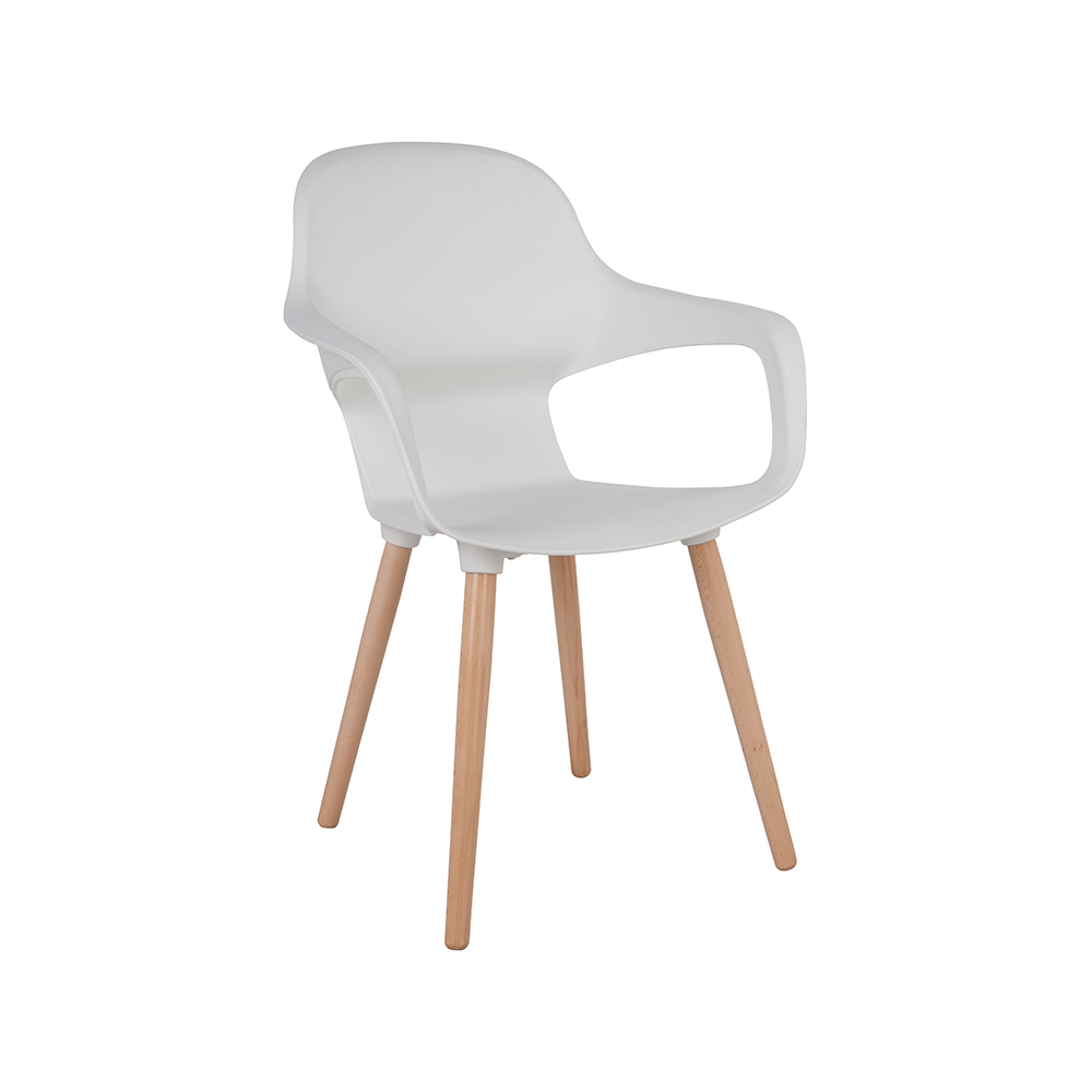 ZY-9000-1 All Plastic dining chair