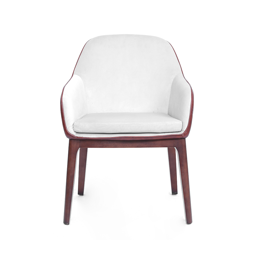 ZY-9041 Velvet-B05 and PU -P04 fabric dining chair